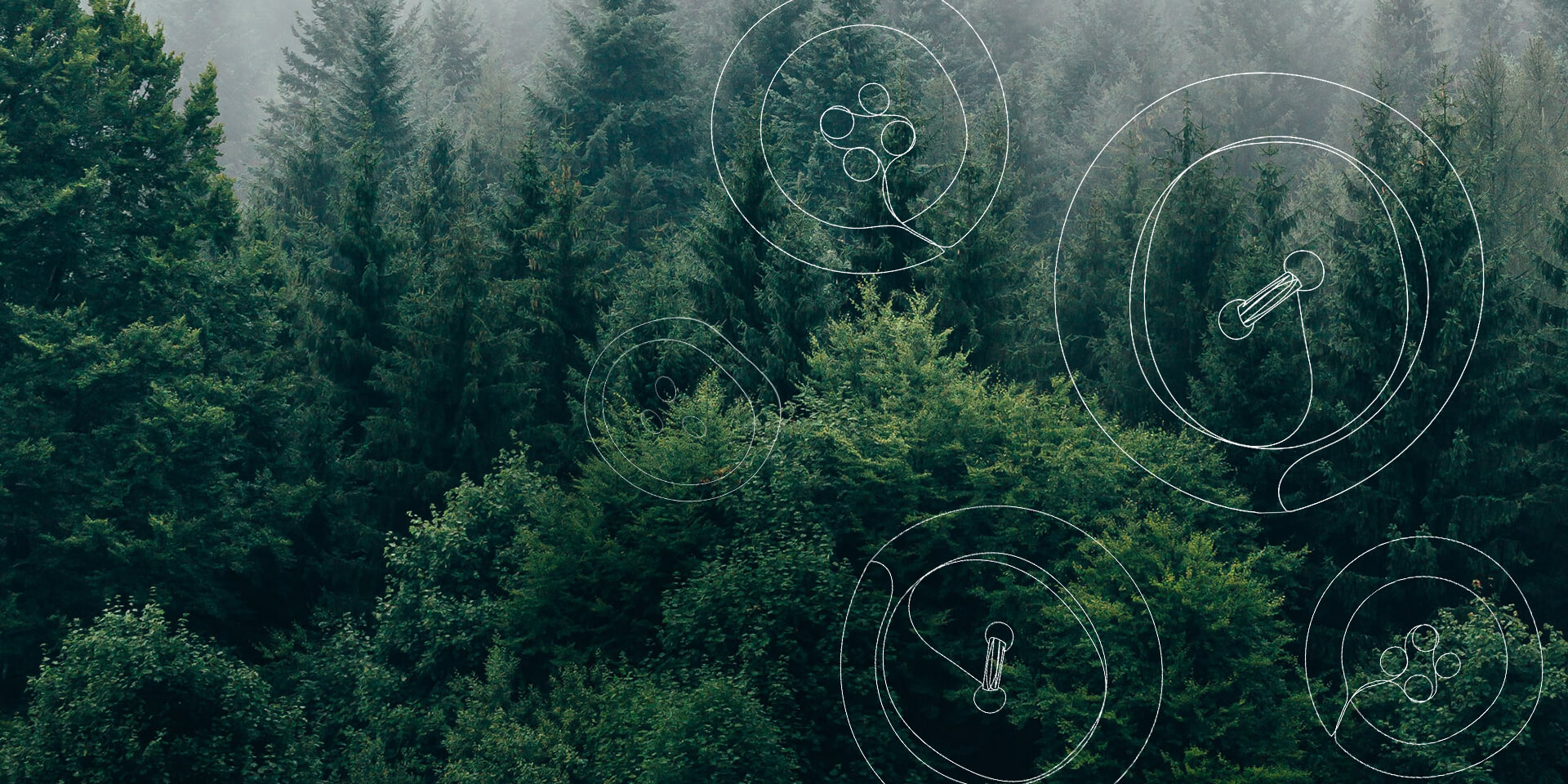 banner-2 tiny